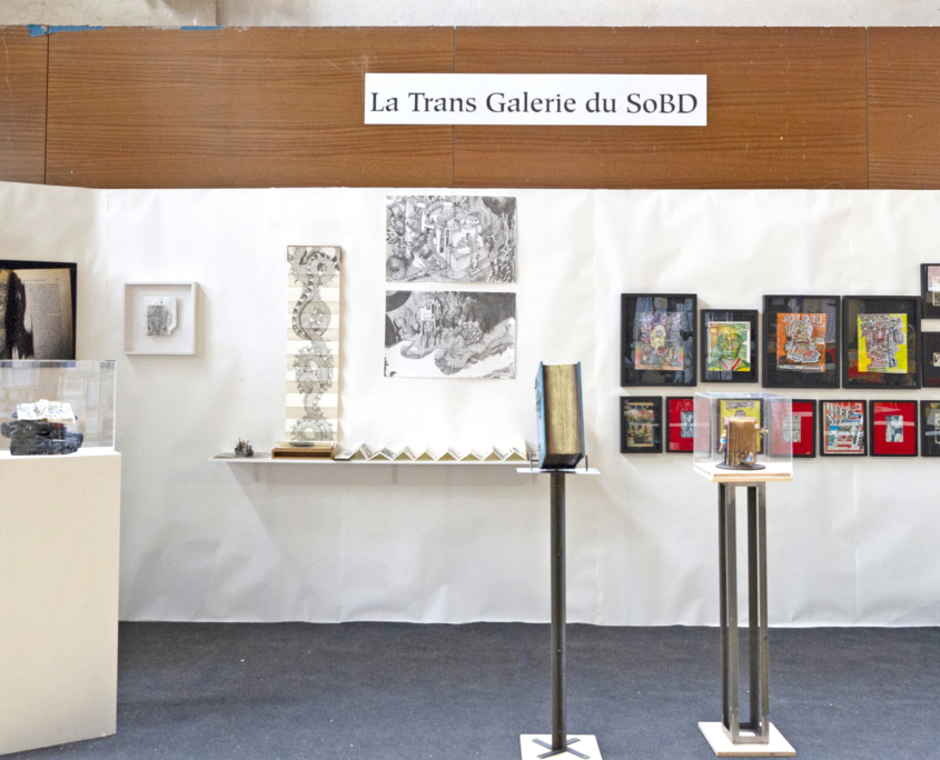 La Trans Galerie du SoBD 2019 La Trans Galerie du SoBD 2019