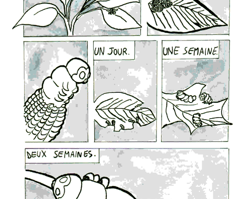 Jigro ButterFly Blues. de Johanna Grolier Jigro ButterFly Blues. de Johanna Grolier